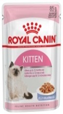 KITTEN INS. JELLY